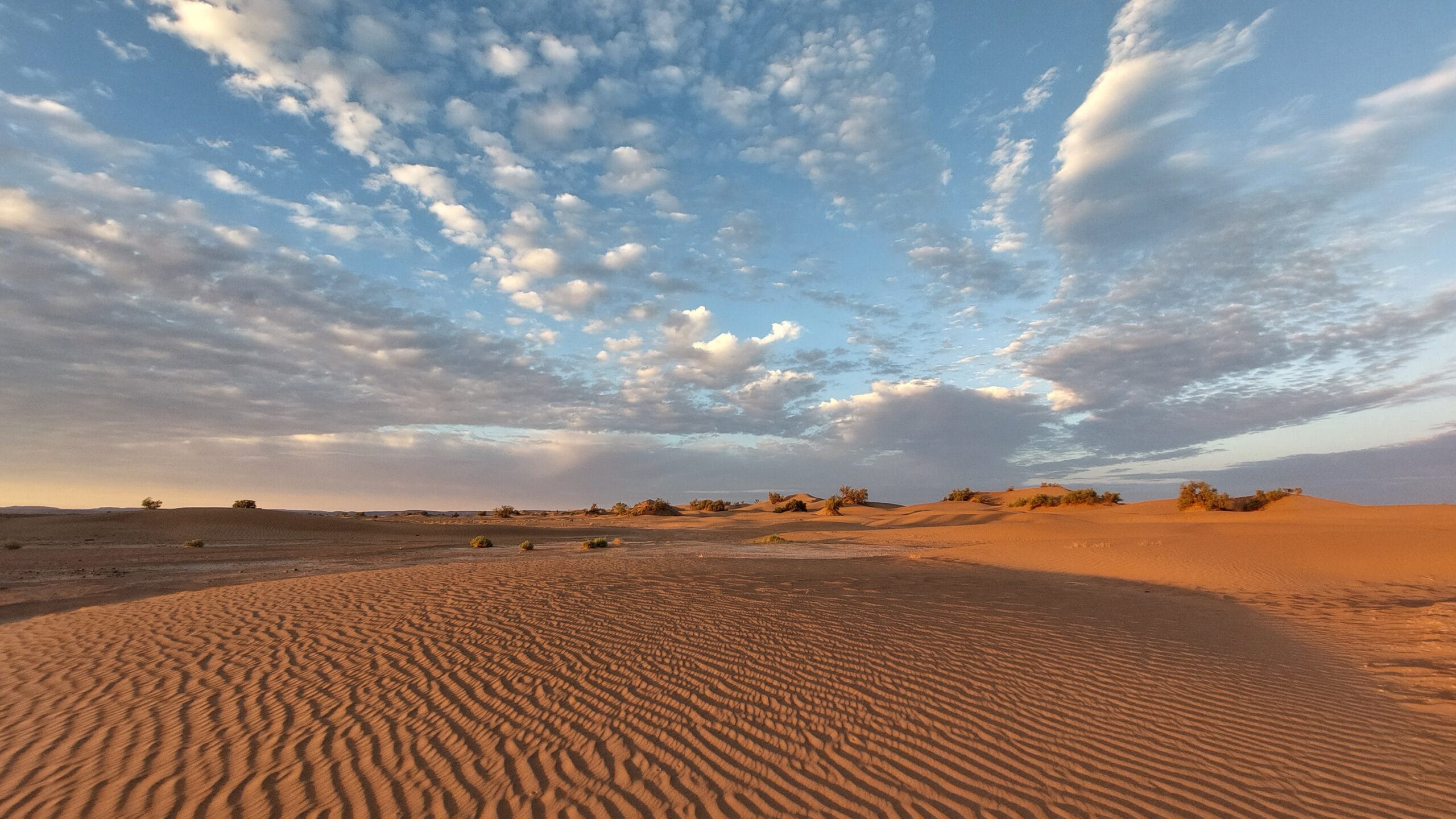 étendue de sable graphique sous vaste ciel nuageux